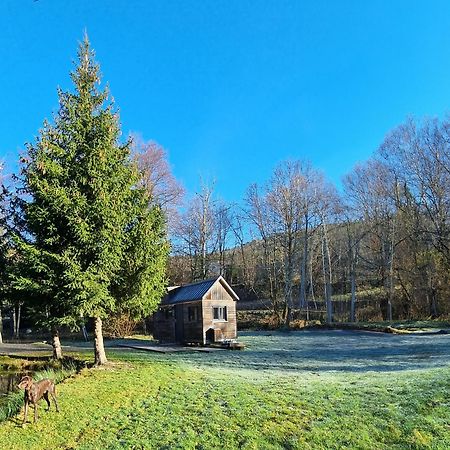 Insolite Tiny House Serenite Bien Etre Ban-sur-Meurthe-Clefcy Екстериор снимка