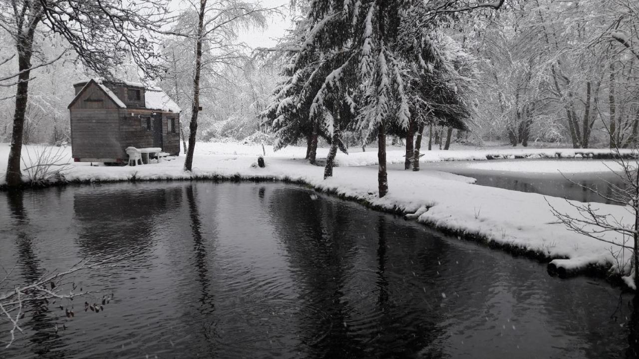 Insolite Tiny House Serenite Bien Etre Ban-sur-Meurthe-Clefcy Екстериор снимка