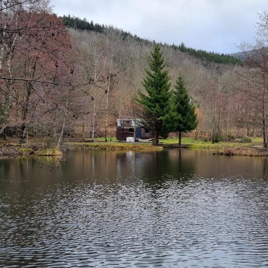 Insolite Tiny House Serenite Bien Etre Ban-sur-Meurthe-Clefcy Екстериор снимка